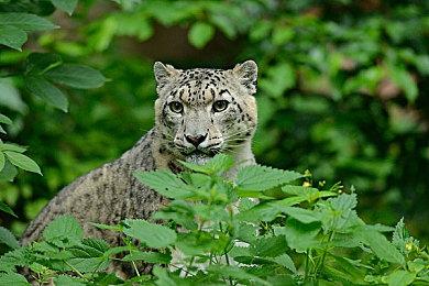 《漫威蜘蛛侠2》新更新上线 修复问题改进体验