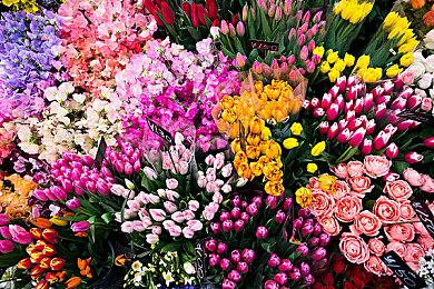 《怪物猎人：荒野》高分辨率贴图包至少需要16G显存